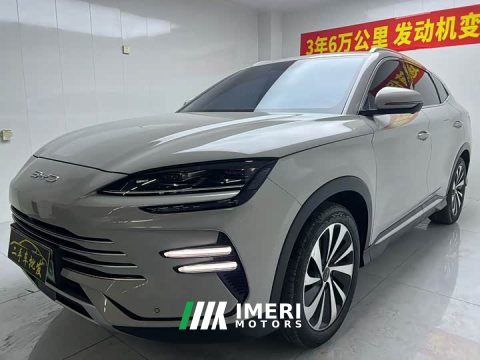 2023 BYD Song Plus New Energy Champion Edition DM-i 110KM Flagship Plus - ავტომობილი ჩინეთიდან