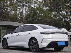 BYD Dolphin 2022 550km Standard Range RWD Luxury - ფოტო 12
