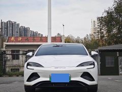 BYD Dolphin 2022 550km Standard Range RWD Luxury - ფოტო 2