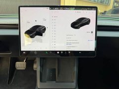Tesla Model 3 Rear-Wheel Drive - ფოტო 11