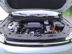 Jetour Shanhai L7 PLUS 220km Luxury Edition 7-seater - ფოტო 10
