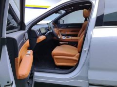 Jetour Shanhai L7 PLUS 220km Luxury Edition 7-seater - ფოტო 9