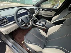 BYD Qin PLUS EV 400KM Luxury - ფოტო 7