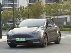 Tesla Model Y Performance All-Wheel Drive - ფოტო 1