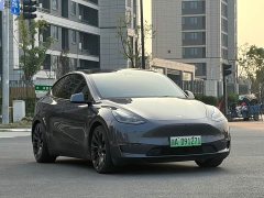 Tesla Model Y Performance All-Wheel Drive - ფოტო 2