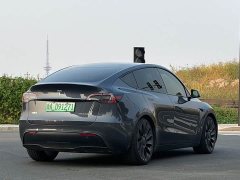 Tesla Model Y Performance All-Wheel Drive - ფოტო 5