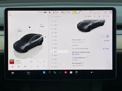 Tesla Model Y Performance All-Wheel Drive - ფოტო 9