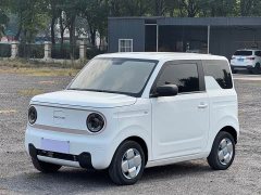 Geely Panda Mini 200km Endurance Edition - ფოტო 1