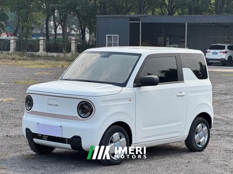 2024 Geely Panda Mini 200km Endurance Edition - ავტომობილი ჩინეთიდან