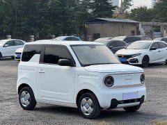 Geely Panda Mini 200km Endurance Edition - ფოტო 3