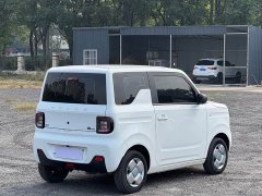 Geely Panda Mini 200km Endurance Edition - ფოტო 7