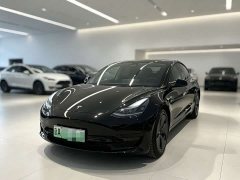 Tesla Model 3 Standard Range RWD Upgrade - ფოტო 1
