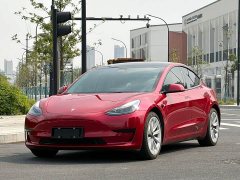 Tesla Model 3 Rear-Wheel Drive - ფოტო 1