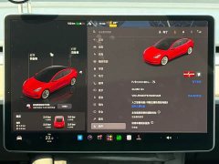 Tesla Model 3 Rear-Wheel Drive - ფოტო 9
