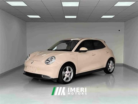 2021 ORA Good Cat 400km Standard Range Athena Edition LFP Battery - ავტომობილი ჩინეთიდან