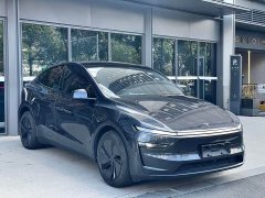 Tesla Model Y Long Range All-Wheel Drive Launch Edition - ფოტო 3
