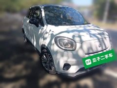 Leapmotor Leapo T03 400 Luxury Edition - ფოტო 3
