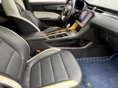 SAIC MG6 Pro 1.5T Automatic Trendsetter Luxury Edition - ფოტო 14