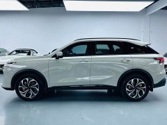 Haval Xiaolong MAX Hi4 165 Ultra Intelligent Driving Edition - ფოტო 12