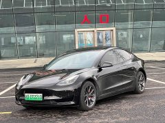 Tesla Model 3 Standard Range RWD Upgrade - ფოტო 1