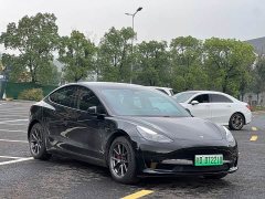 Tesla Model 3 Standard Range RWD Upgrade - ფოტო 3