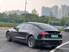 Tesla Model 3 Standard Range RWD Upgrade - ფოტო 4