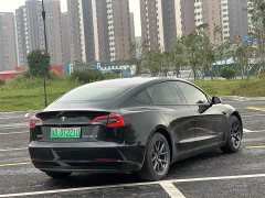 Tesla Model 3 Standard Range RWD Upgrade - ფოტო 6