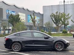 Tesla Model 3 Standard Range RWD Upgrade - ფოტო 8