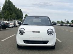 Changan Lumin 2023 205km Xiangqin Edition - ფოტო 2