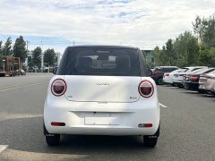 Changan Lumin 2023 205km Xiangqin Edition - ფოტო 8