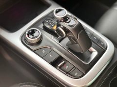 Tank 300 2023 Off-Road Edition 2.0T Conqueror - ფოტო 10