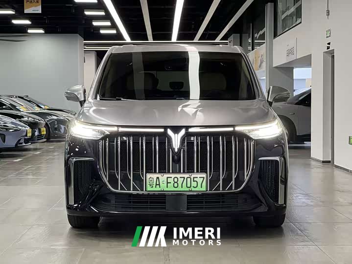 Voyah Lantu Dreamchaser Low Carbon Edition Family