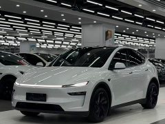 Tesla Model Y Rear-Wheel Drive - ფოტო 1