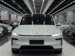 Tesla Model Y Rear-Wheel Drive - ფოტო 2