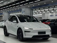 Tesla Model Y Rear-Wheel Drive - ფოტო 3