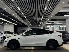 Tesla Model Y Rear-Wheel Drive - ფოტო 4