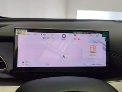 BYD Dolphin 06 DM-i Smart Drive Edition 80KM Luxury - ფოტო 14