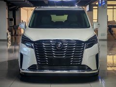 Buick GL8 ES Luxun Luxury Edition - ფოტო 2