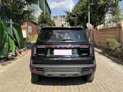 Great Wall Dachshund 1.5T DCT Border Collie Edition - ფოტო 12