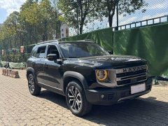 Great Wall Dachshund 1.5T DCT Border Collie Edition - ფოტო 3