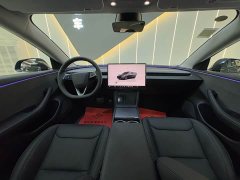 Tesla Model 3 2025 Rear-Wheel Drive - ფოტო 19