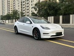 Tesla Model 3 Performance All-Wheel Drive - ფოტო 1