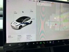 Tesla Model 3 Performance All-Wheel Drive - ფოტო 10