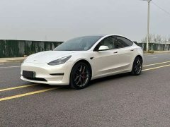 Tesla Model 3 Performance All-Wheel Drive - ფოტო 3