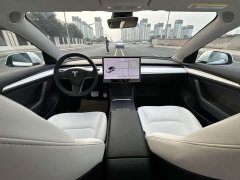 Tesla Model 3 Performance All-Wheel Drive - ფოტო 6