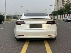 Tesla Model 3 Performance All-Wheel Drive - ფოტო 7