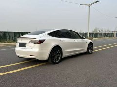Tesla Model 3 Performance All-Wheel Drive - ფოტო 8