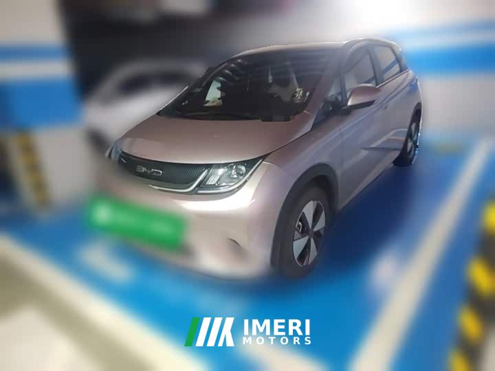 BYD Dolphin 420km Freedom Edition