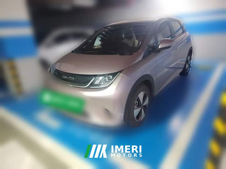 BYD Dolphin 420km Freedom Edition - ავტომობილი ჩინეთიდან