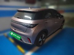 BYD Dolphin 420km Freedom Edition - ფოტო 4